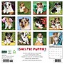 2027 Willow Creek Sheltie Puppies 12" x 12" Monthly Wall Calendar, Assorted Colors (62296)~#|#~060E4F10-66D3-4B0B-9AD9271DAAB851FC_sc7
