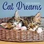 2026 TF Publishing Cat Dreams 12" x 12" Monthly Wall Calendar, Multi (26-1003)~#|#~06199FF2-5F09-4D0A-AA32DAFEDEC2D65E_sc7