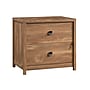 Sauder Cannery Bridge Commercial 2-Drawer Lateral File Cabinet, Letter/Legal Size, 32"W x 22"D, Sindoori Mango (429514)~#|#~061F739D-B801-48A7-B9FA083D9E695922_sc7