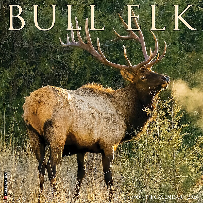 2026 Willow Creek Bull Elk 12" x 12" Monthly Wall Calendar (50408) image 1