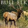 2026 Willow Creek Bull Elk 12" x 12" Monthly Wall Calendar (50408)~#|#~062520BB-6ACB-4CD8-AA73167A4344E97D_sc7