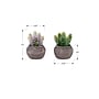Monarch Specialties Inc. 8" Artificial Succulent Plant in Pot, 2/Set (I 9364)~#|#~0632936F-1581-40F6-A23E1725EBA3A9A2_sc7