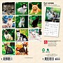 2026 BrownTrout Cat Lovers 7" x 7" Monthly Wall Calendar (9798330702770)~#|#~0640312F-1DE7-4413-8CDAACB7BD1B92EB_sc7