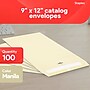 Staples Extra-Heavyweight Clasp & Moistenable Glue Catalog Envelopes, 9"L x 12"H, Manila, 100/Box (121962/19276)~#|#~065ABC77-D6E4-43CA-B51F295C3DE3E4BE_sc7