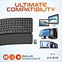 Delton KB250 Wireless Ergonomic Keyboard, Black (DKBE250-WB)~#|#~0672B4F1-98D6-4856-8F603E8760B34C0C_sc7