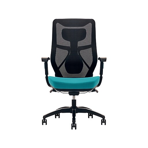 Beautyrest DuoEX Ergonomic Mesh Swivel Computer Chair, Teal (60051TEL