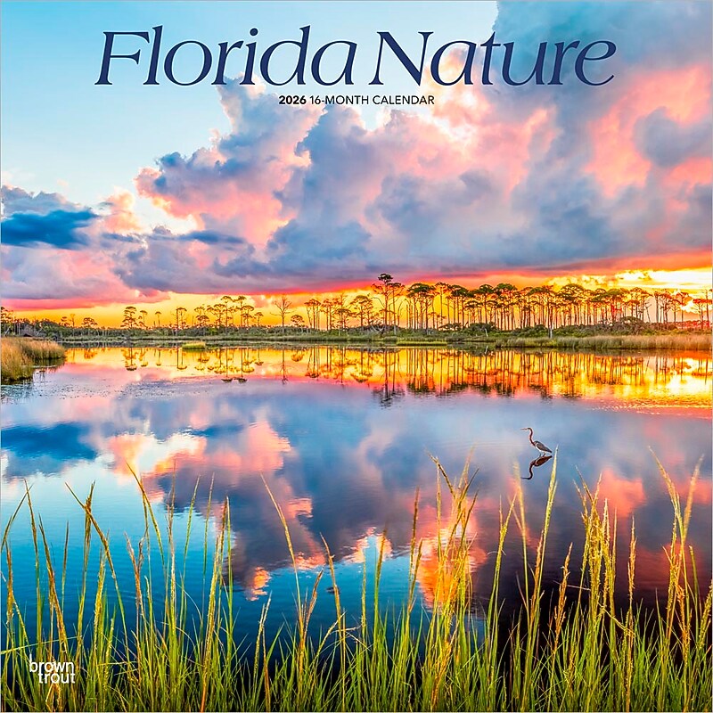2026 BrownTrout Florida Nature 12" x 12" Monthly Wall Calendar (9798330703265) image 1