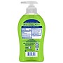 Softsoap Antibacterial Liquid Hand Soap, Sparkling Pear Scent, 6/Carton (US07326ACT)~#|#~068675BA-CACF-4591-AD56B7259F876819_sc7