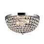 Elegant Designs Crystal 2 Light LED Flush Mount Ceiling Light, Chrome (FM1000-CHR)~#|#~0698EB7C-FC40-4471-AF08445D8BB70D47_sc7