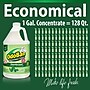 OdoBan Air Freshener & Deodorizer, Original Eucalyptus Scent, 1 Gallon (911061-G4)~#|#~06A99939-60A1-41F7-A2DB40E13D2BFD15_sc7
