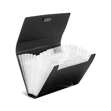 TRU RED™ Plastic Accordion File, 13-Pocket, Coupon Size, Assorted Colors (TR51828)