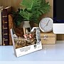 2026 Willow Creek Bad Kitties 6.2" x 5.4" Day-to-Day Calendar (53959)~#|#~06DF912F-61F7-46F0-A1775A6455EDF825_sc7
