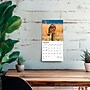 2026 BrownTrout Owls 7" x 7" Monthly Wall Calendar (9798330705047)~#|#~06E61E85-DA58-428C-9306C9BE8E4BD5BB_sc7