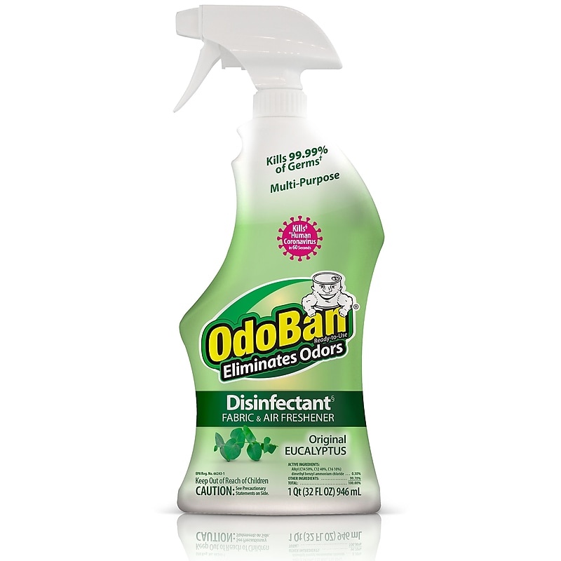 OdoBan Air Freshener & Deodorizer Spray, Original Eucalyptus Scent, 32 oz. (910061-Q6) image 1
