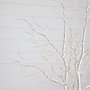 Nearly Natural 35-in Pre-Lit Artificial White Birch Branches with 80 Warm White LED Lights - Set of 2 (T4925-S2)~#|#~07120E36-2F4B-4A37-977A7CE80419FE27_sc7