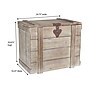 Household Essentials Antiqued Decorative Trunk (HH9536-1)~#|#~07256AF2-BC21-4B57-98BDCEA17D45B68E_sc7