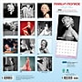 2026 Plato Marilyn Monroe 12" x 12" Monthly Wall Calendar (9798330701391)~#|#~07269F1A-F351-4FC1-BE2E454E6AFBA614_sc7