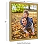 Amanti Art Grace Brushed Gold Narrow 20" x 24" Polystyrene Picture Frame, Gold (A42678297768)~#|#~0726AF3D-4CF3-4E27-9B95B01B0050DC71_sc7
