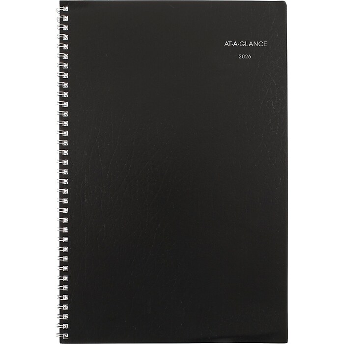2026 AT-A-GLANCE DayMinder 8