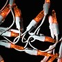 National Tree Company 57" Lighted Happy Halloween Sign (HO76-66806-1)~#|#~074ED7C5-45FD-4B4E-AF0730CFFDAE17F3_sc7