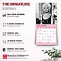 2027 BrownTrout Marilyn Monroe 7" x 7" Monthly Wall Calendar (9798330714834)~#|#~075830D4-63C2-492E-9523FE039CC7F9A2_sc7