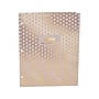 Pukka Pad Haze 3-Hole Punched 2-Pocket Cardstock Portfolio Folders, Assorted Colors, 6/Pack (9980(AST)-HZE)~#|#~075BF0BE-F48D-4AC5-A87255F7D0626F64_sc7
