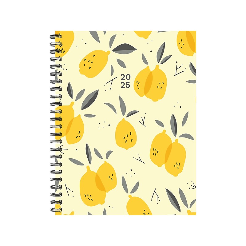 2025 Willow Creek Citrus Grove 6.5" x 8.5" Weekly & Monthly Planner, Paper Cover, Multicolor (48672X) image 1