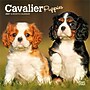 2027 BrownTrout Cavalier King Charles Spaniel Puppies 7" x 7" Monthly Wall Calendar, Assorted Colors (9798330709953)~#|#~079A610B-409A-4C9E-BE94001B4FFA8ECC_sc7