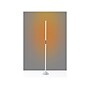 Simplee Adesso Cole 58" Matte Floor Lamp with Tubular Shade (SL4920-02)~#|#~079D2009-AE79-4EFD-AB3D728D1E533D67_sc7