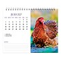 2027 BrownTrout Chickens 7.5" x 6" Monthly Wall Calendar, Assorted Colors (9798330709380)~#|#~07B4659A-001E-4AF3-90A1560DD6B27DB8_sc7