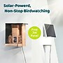 Birdfy Feeder Bamboo with Camera, Solar Panel and AI by Subscription, Multicolored (EPPAMBNI8402110)~#|#~07B9CF9B-2FC1-4D63-86D2C4090209F2DF_sc7