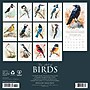 2026 Willow Creek The Art of Birds 12" x 12" Monthly Wall Calendar (56332X)~#|#~07CA36CE-C1FD-4A00-A0ABC2810803A41D_sc7
