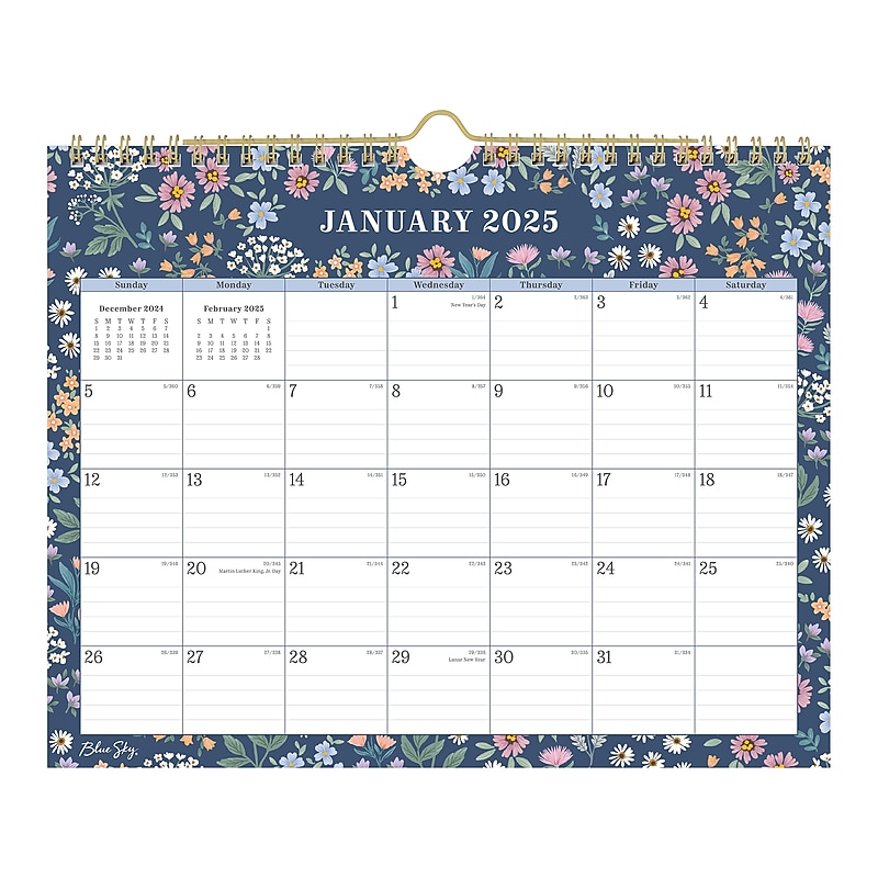 2025 Blue Sky Dellania 11" x 8.75" Monthly Wall Calendar (152487) image 1