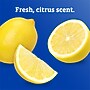 CloroxPro Clorox Screen+ Sanitizing Wipes, Bleach Free, Citrus Blend Scent, 75 Wipes/Container (60724)~#|#~07E491CC-C7CD-424E-8B9E2F8315B64790_sc7