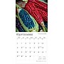 2026 BrownTrout Mercados de Mexico Markets of Mexico 12" x 12" Monthly Wall Calendar (9798330704552)~#|#~07ED8CE4-32BF-441D-AF6CF0413BF537DC_sc7