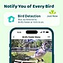 Birdfy Feeder Ebony with Camera, Solar Panel and AI by Subscription, Multicolored (EPPAMBNI8702110)~#|#~0802AFD4-B90A-4A60-88C8B25FF997869B_sc7