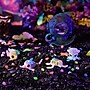 Crayola Scribble Scrubbie Ocean Pets Glow Lagoon (BIN747507)~#|#~081D4C27-1025-45CE-9A19F602C9BEFB70_sc7