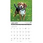 2027 Willow Creek Beagle Rules 12" x 12" Monthly Wall Calendar, Assorted Colors (59098)~#|#~0837F647-272F-4626-A05444B7DDA9D511_sc7