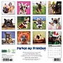 2026 Willow Creek Pardon My Frenchie 12" x 12" Monthly Wall Calendar (52310)~#|#~08405990-5595-452A-921B2D1D1A1C246E_sc7