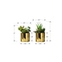 Monarch Specialties Inc. 7" Artificial Succulent Plant in Pot, 2/Set (I 9553)~#|#~084EB8EE-2A62-4509-A59C0E40BD01CE7D_sc7