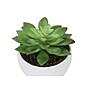 Monarch Specialties Inc. 6" Artificial Succulent Plant in Pot, 3/Set (I 9555)~#|#~084F10D3-BEEE-4BBE-80205F85EA740061_sc7