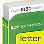 Pendaflex File Pocket, 5 1/4" Expansion, Letter Size, Assorted Colors, 5/Pack (1534G5ASST)~#|#~0851A6B6-D16E-4144-A088D85280F7E0EC_sc7