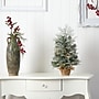 Nearly Natural Winter Frosted Artificial Christmas Tree, 2' (T3328)~#|#~085A4815-8A9E-4771-A9EBB38DE69FC67E_sc7