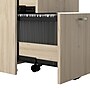 Bush Business Furniture Office in an Hour 3 Drawer Mobile File Cabinet, Natural Elm (WC36553-03K)~#|#~08743167-EB7C-4F90-B7AEC46B5C6DD3E9_sc7