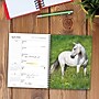 2026 Willow Creek What Horses Teach Us 6.5" x 8.5" Daily & Monthly Personal Organizer (54697)~#|#~088729AE-1F3E-4375-9300371B7957DA01_sc7