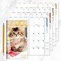 2027 TF Publishing Kitten 3.5" x 6.5"  Monthly Standard Planner, Paperboard Cover, Multicolored (27-7022)~#|#~08932C8F-919C-4CDC-A1B5A8E9C71B7DC7_sc7