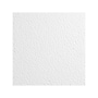 Armstrong KITCHEN ZONE Square Lay-In Edge Ceiling Tile, 24" x 24", White, 16/Carton (BP673)~#|#~0893BBE4-CA27-4699-A43F5005CF65A565_sc7