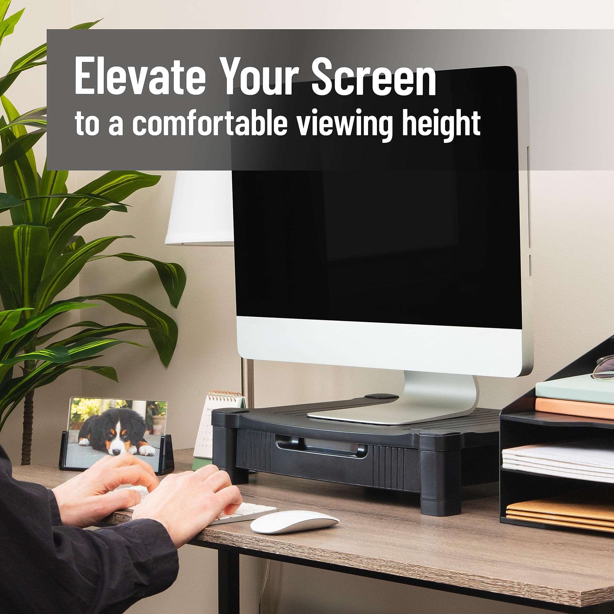 Mind Reader Monitor Stand, Up to 22 lbs., Black (DRPLMONST-BLK) Sansujyuku sansujyuku.com