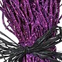 National Tree Company 33" Witch’s Broom Garden Stake (MZ17-K2042AB-1)~#|#~08AAEA05-B6E3-4BDB-86F3ED5F797C9C9F_sc7