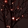 Nearly Natural 4' Pre-Lit Halloween Deluxe Black Twig Artificial Fall Tree with 81 Orange and Purple LED Lights (T4757)~#|#~B5960B5B-62ED-4E95-AD4519F7DC8657DE_sc7